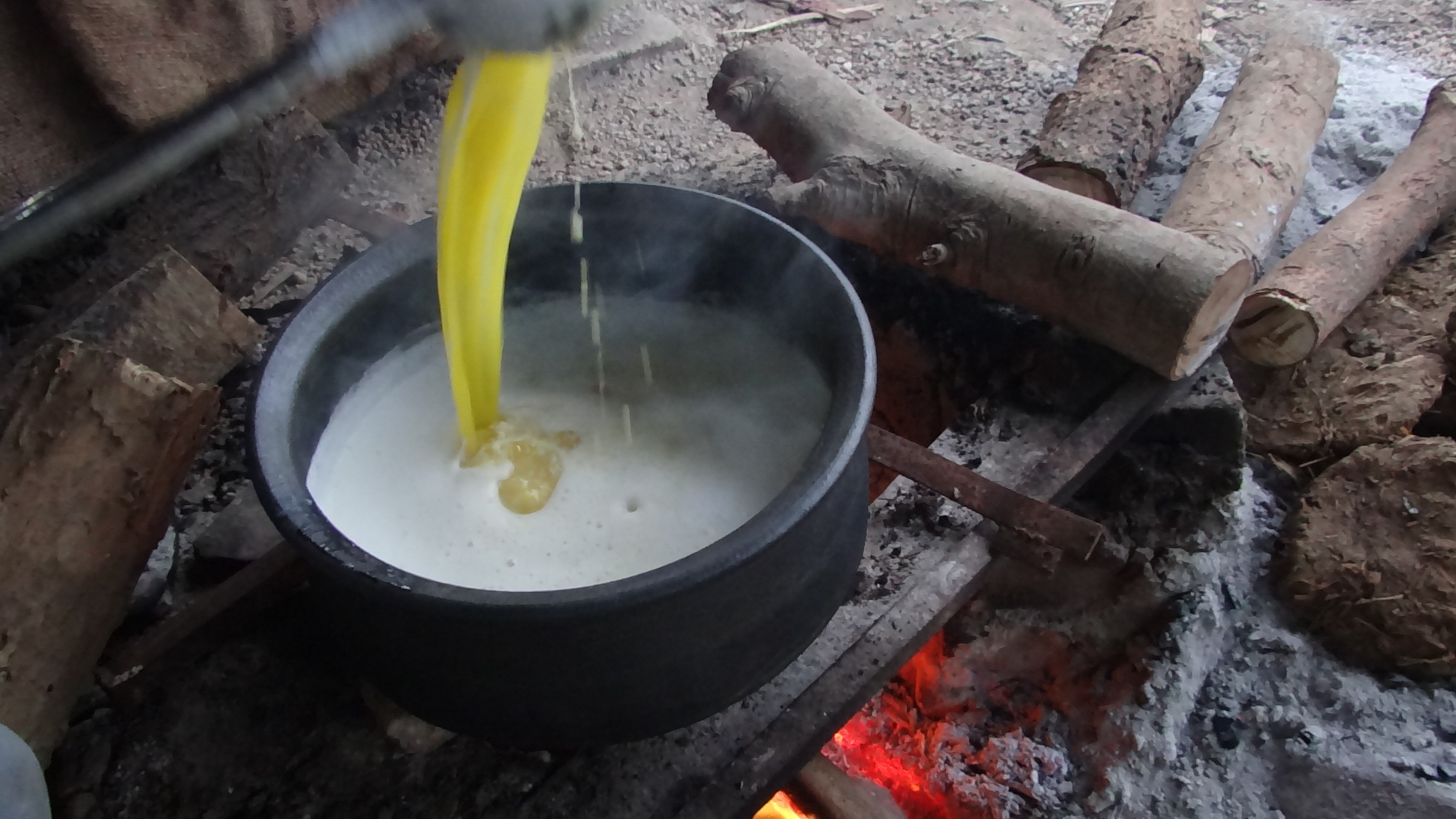 Organic ghee farm gallery abundant natural pasture